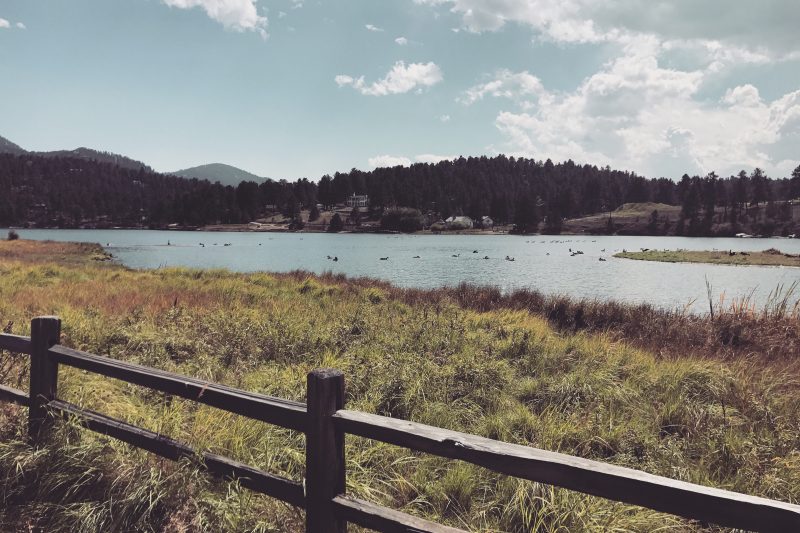 If Only I Were You… {Part 1}