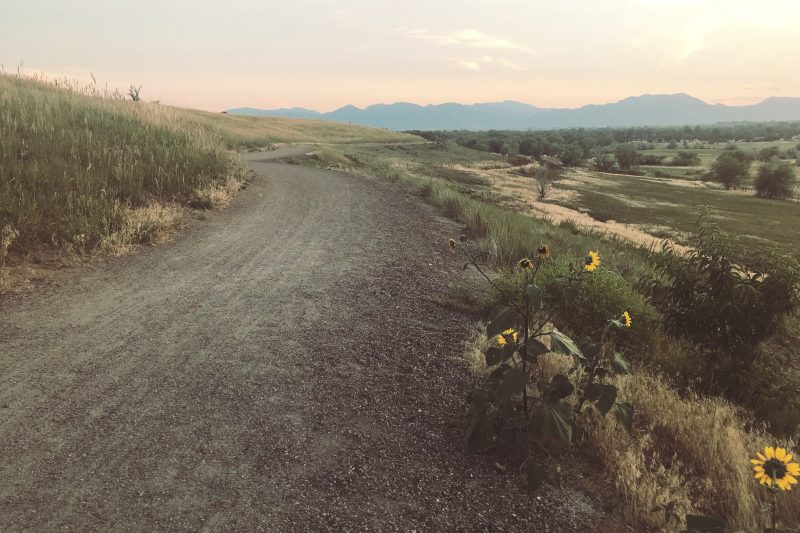 God’s Promises For You (and not for you)