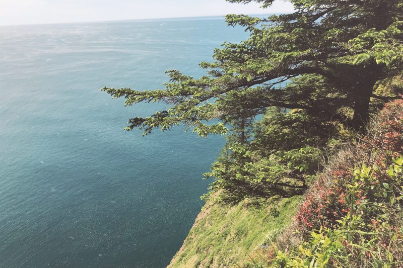 Church Just Never Felt Like “Home” & Now It Does