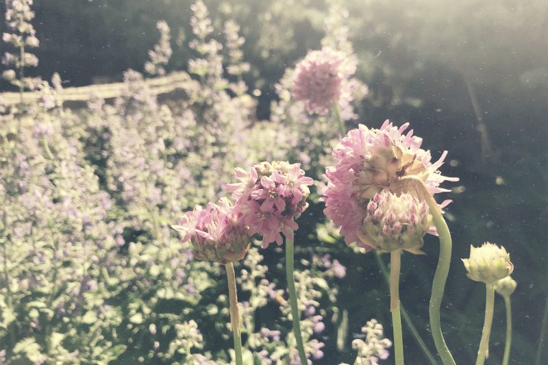 Understand This & You Will Never Read the Bible the Same Again