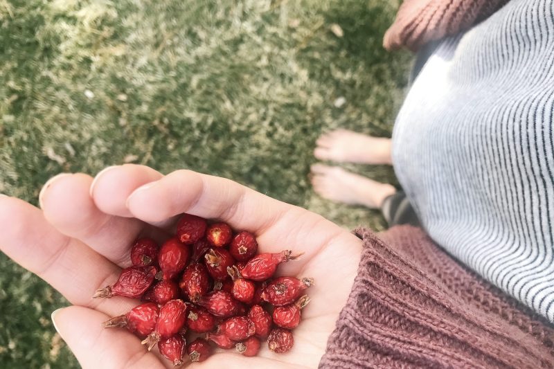 A List of Things I Love: Remembering All There Is To Be Thankful For