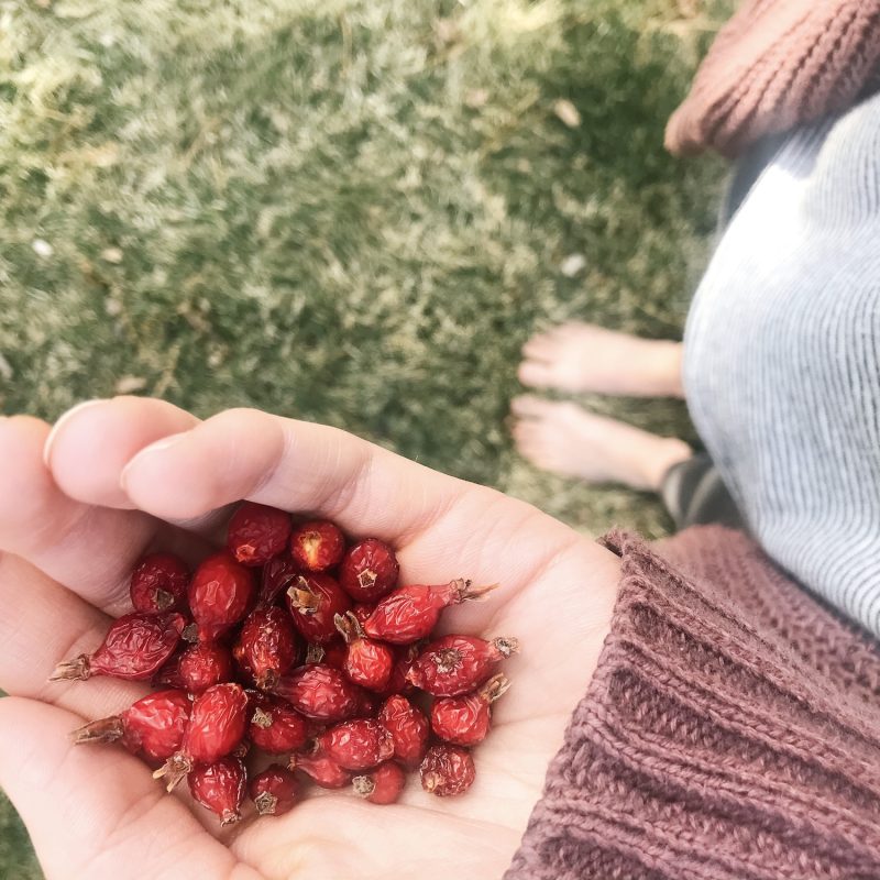 A List of Things I Love: Remembering All There Is To Be Thankful For